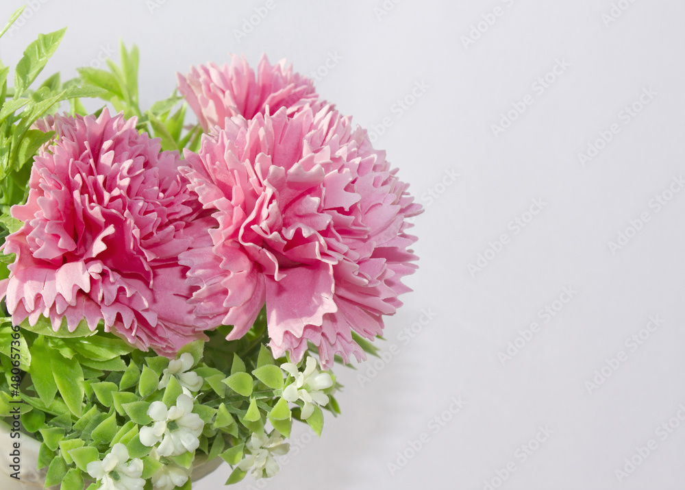 pink carnation flower made from soap on white background.