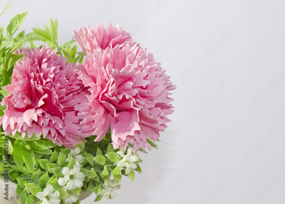 pink carnation flower made from soap on white background. pink carnation flower made from soap on white background.