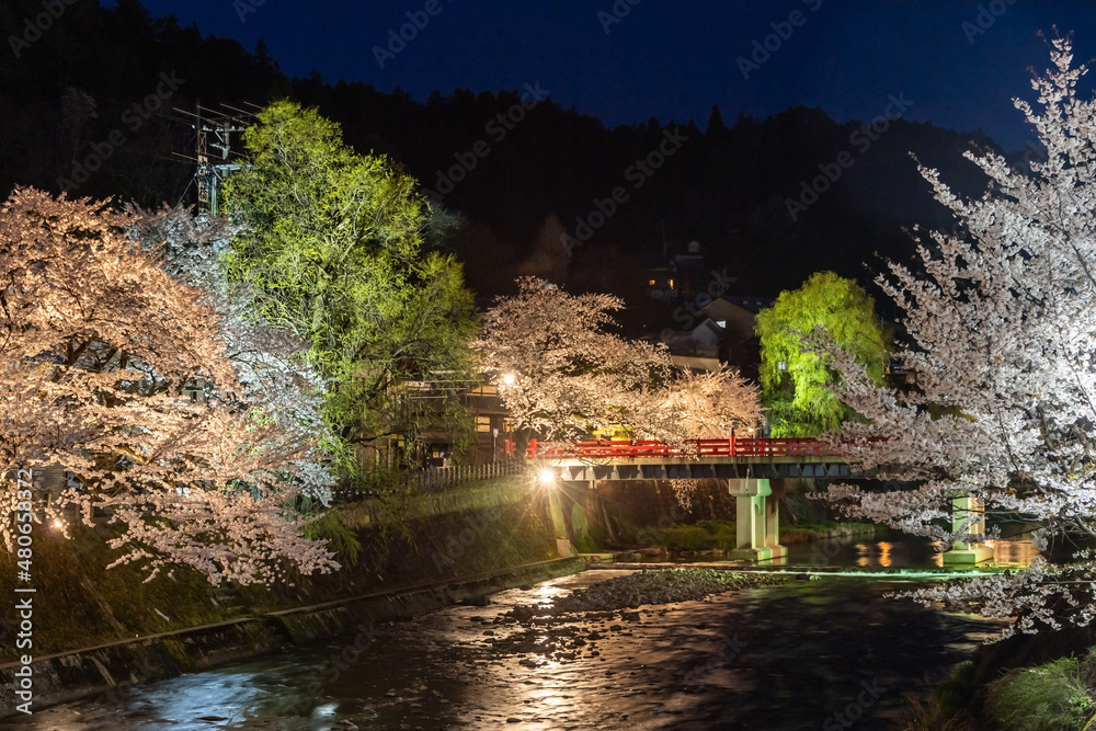 岐阜県 高山市 赤い橋、春のライトアップ 岐阜県 高山市 赤い橋、春のライトアップ