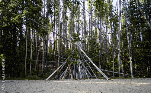 Makeshift Teepee Structure of Fallen Trees on a Mountain Lake Beach