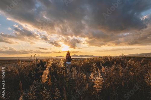 sunrise, field, clouds, girl, plants, girl in the field, autumn, spring, mountains, sun, sunset