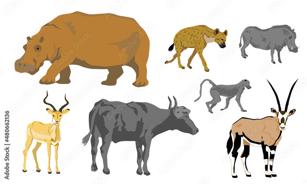 flat vector of African animals set, buffalo, hyena, warthog, hippopotamus, impala, oryx, baboon