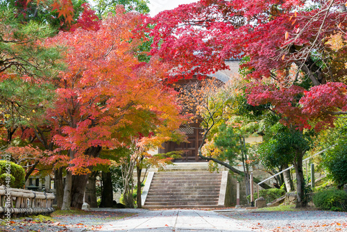 Kyoto, Japan -  Autumn leaf color at Komyoji Temple in Nagaokakyo, Kyoto, Japan. The Temple originally built in 1198.