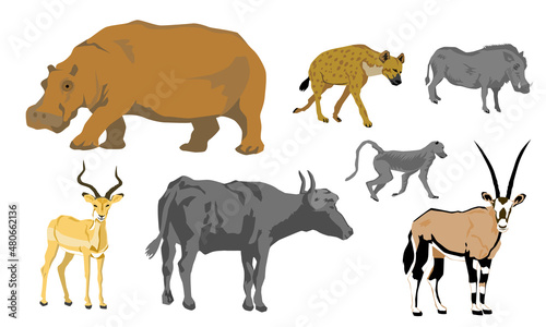 flat vector of African animals set  buffalo  hyena  warthog  hippopotamus  impala  oryx  baboon