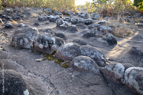 rocks on the beach