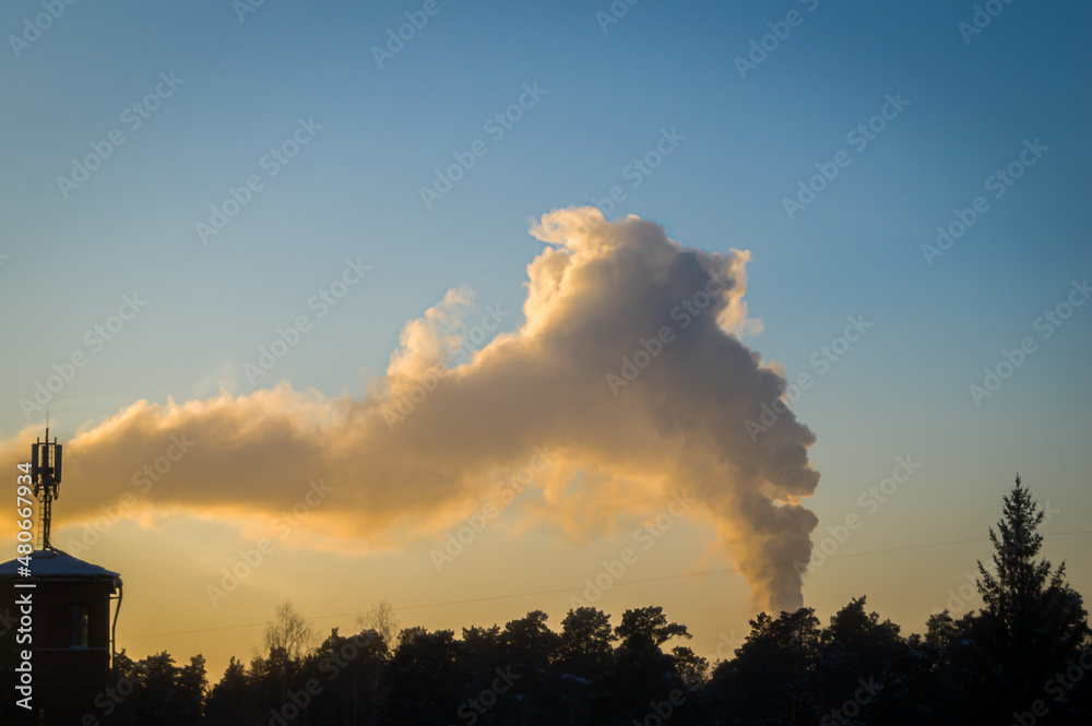 Blurred gray smoke over the forest illuminated by the evening sun. Air pollution. Blurred gray smoke over the forest illuminated by the evening sun. Air pollution.
