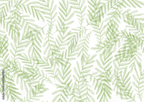 Watercolor Background. Colorful tropical green leaves on white Backdrop