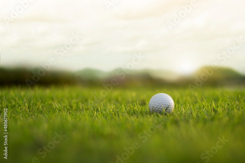 golf ball is on a green lawn in a beautiful golf course