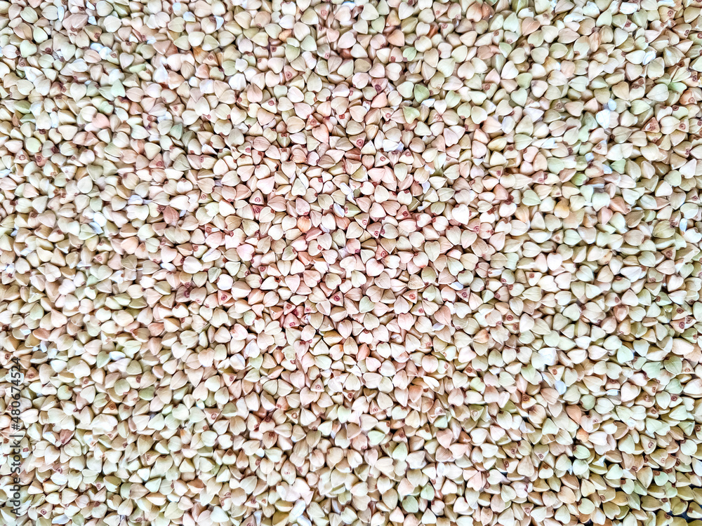 Fototapeta premium Green buckwheat background - raw healthy diet food