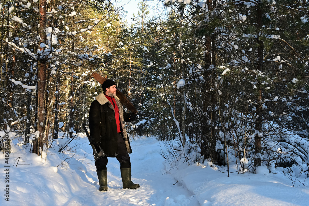 brutal man with beard and in warm unbuttoned sheepskin coat stands in middle of snow-covered forest. Lumberjack holds an axe and hand saw. Sunny day. Far from civilization. Harvesting of firewood