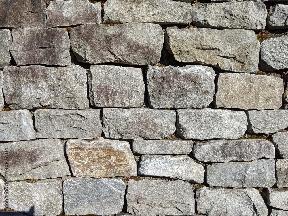 Fototapeta premium stone wall texture