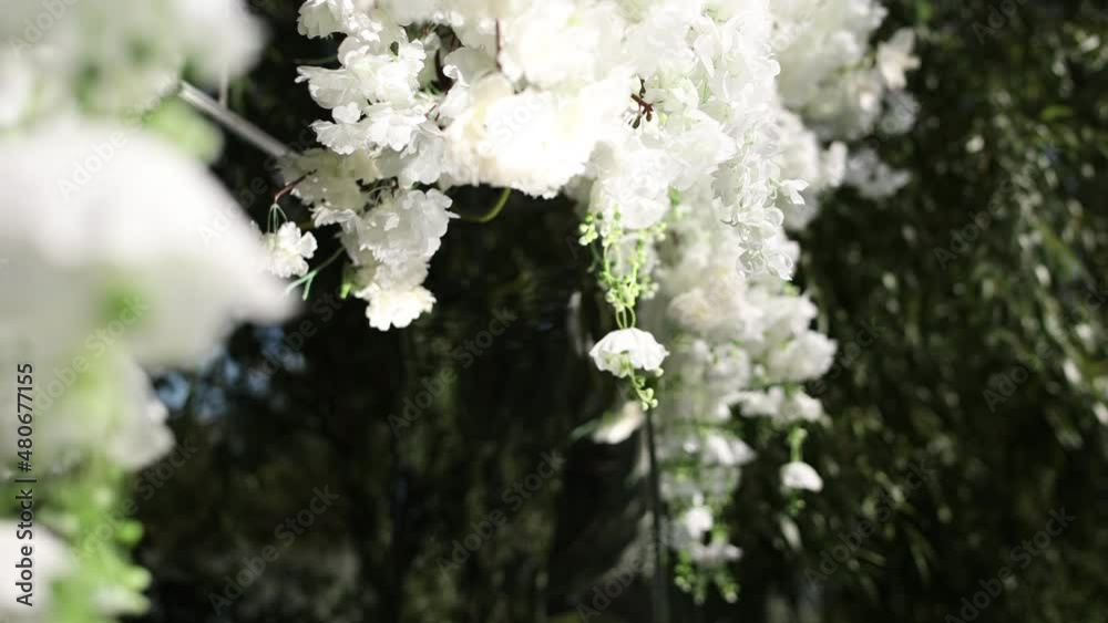 beautiful white flowers close-up on a wedding arch