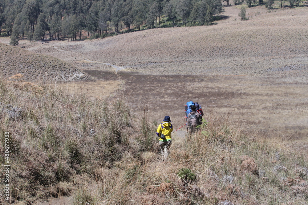 Obraz premium Young man hiking and trekking with backpack at Mount Semeru, selected focus Lumajang, Indonesia, September 2018