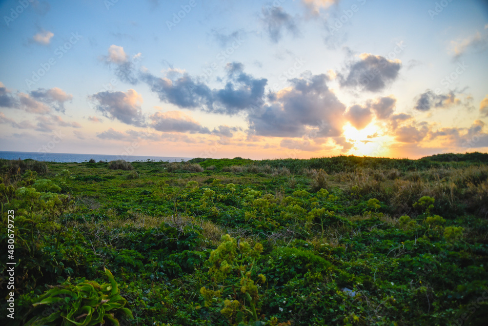 Obraz premium 夕焼け