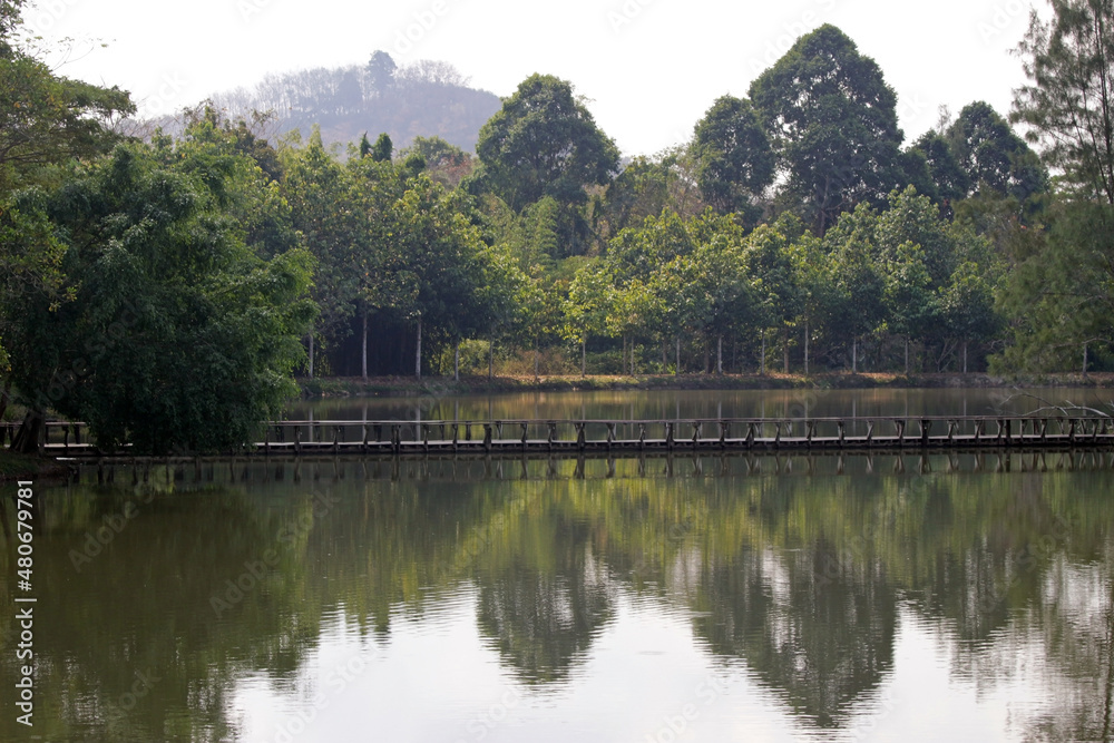 Landscape of a lake with a long wooden bridge with forest trees and distant mountains reflecting in the water Landscape of a lake with a long wooden bridge with forest trees and distant mountains reflecting in the water