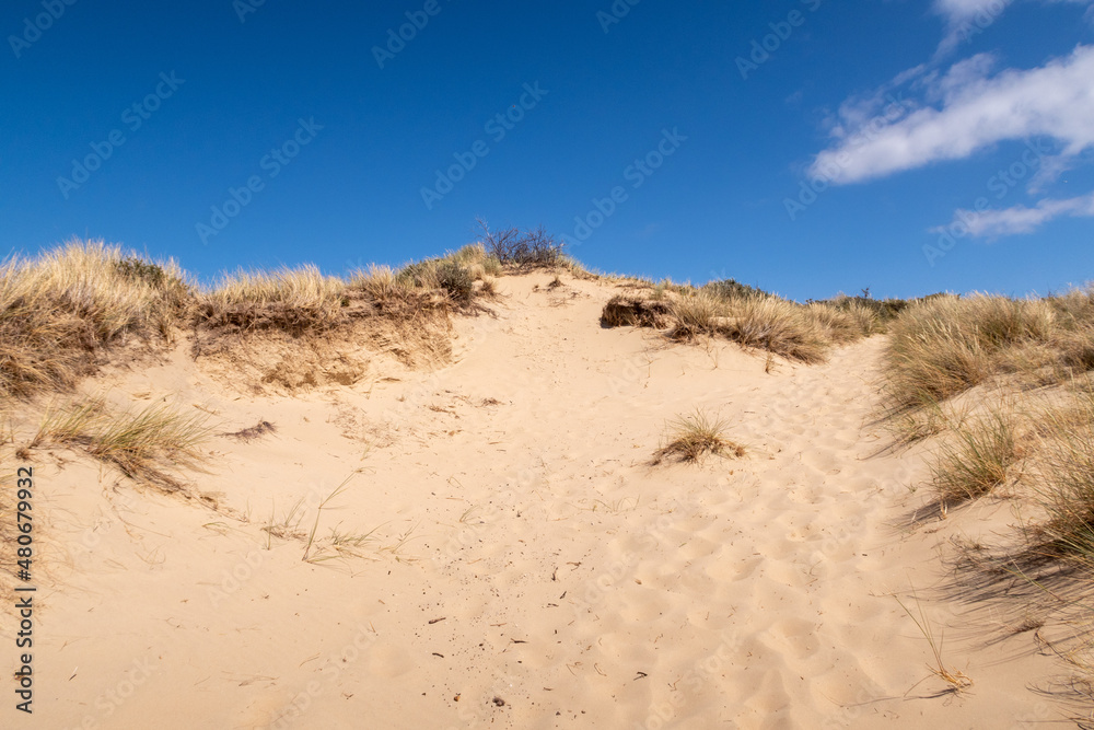 Massif dunaire d'Ecault, entre Equihen-plage et Hardelot-plage