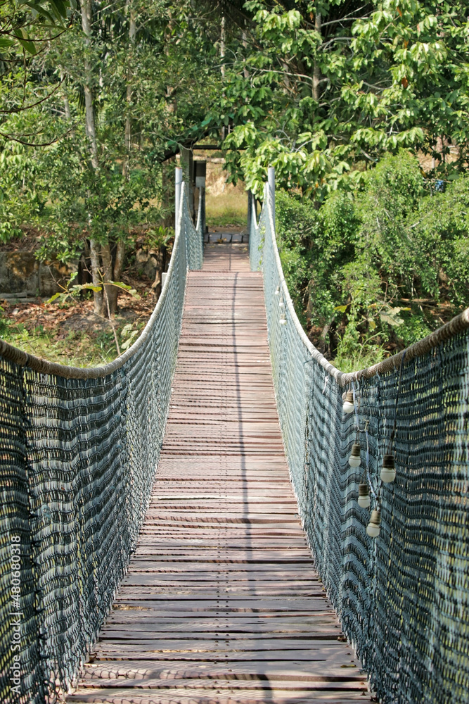 View along a long wooden swing bridge with green forest trees in the distance