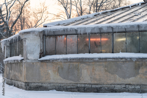 Old glasshouse wall with hanging icicles, roof covered with snow and ice and bright ultraviolet lamps shining inside for plants protection, health and growth. Phytolamps in hothouse, outside view