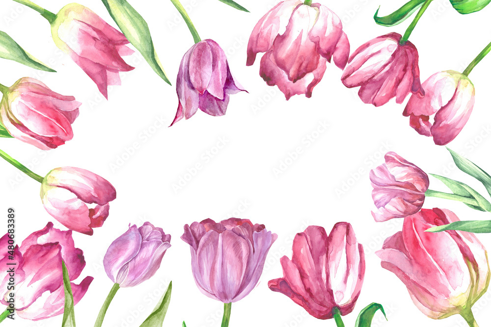 watercolor pink tulips frame
