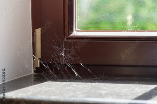 Cobweb in corner of modern window close up