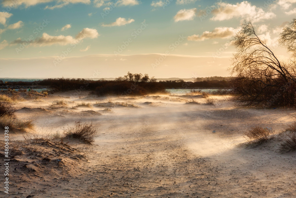 Obraz premium Windy day on the beach at Baltic Sea in Gdansk. Poland