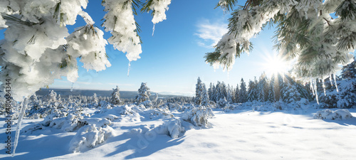 Stunning panorama of snowy landscape in winter in Black Forest - Snow view winter wonderland snowscape background banner with frozen trees, icicle blue sky and sunshine
