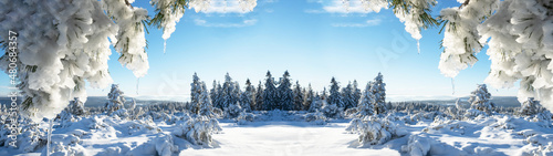Stunning panorama of snowy landscape in winter in Black Forest - Snow view winter wonderland snowscape background banner with frozen trees  icicle blue sky and sunshine