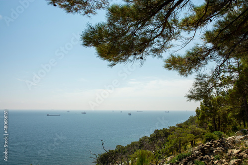 sea view from the coniferous forest from the mountainside. © Dmitry