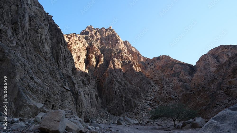 Sinai Mountains
