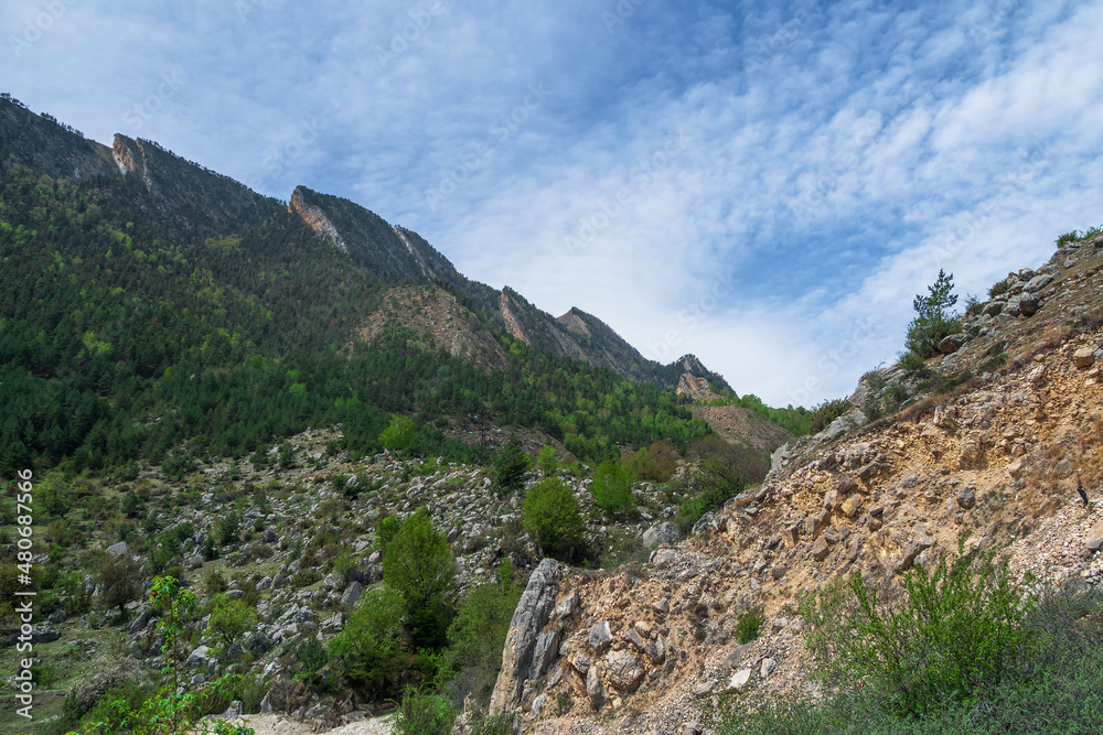 Jagged rocky ridge covered with sparse forest against a blue sky. Minimalistic atmospheric landscape with rocky mountain wall with pointy top in sunny light. Loose stone mountain slopes.
