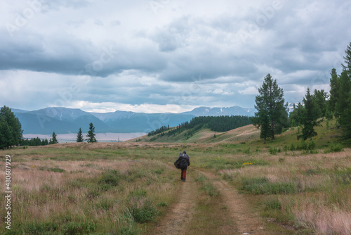 Tourist walks through hills and forest towards bad weather. Hiker on way to large snow mountain range under rainy cloudy sky. Man in raincoat in mountains in overcast. Traveler goes towards adventure. © Daniil