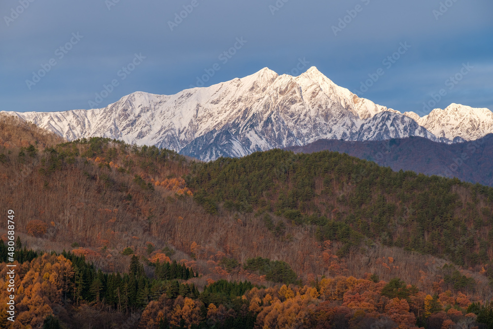 Naklejka premium 雪景色と紅葉