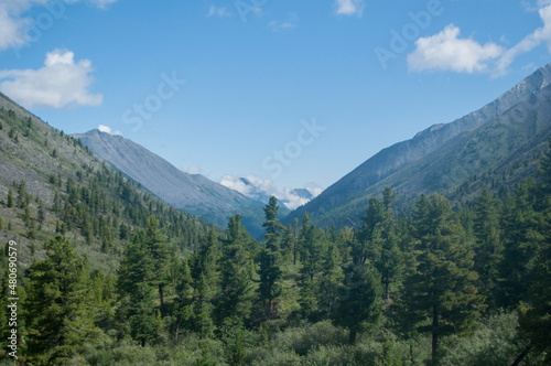 landscape in the mountains