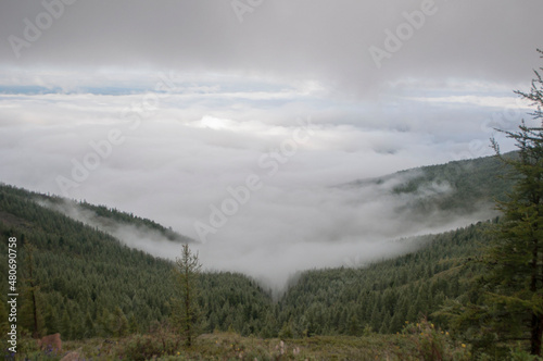 fog over the mountains