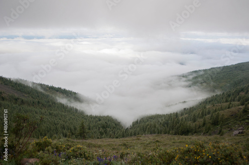 landscape with fog © Vitaliy