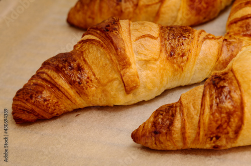 Croissants fresh from the oven on a parchment covered oven grill tray