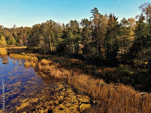 View from the drone on Lake Komosa on a sunny day among the forests of Podlasie. photo