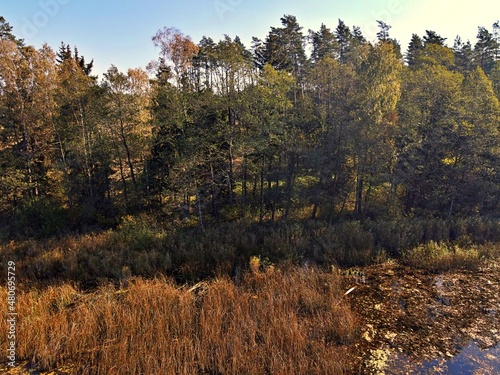 View from the drone on Lake Komosa on a sunny day among the forests of Podlasie. photo