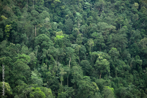 Obraz na plátně The mountains of Vietnam are densely forested