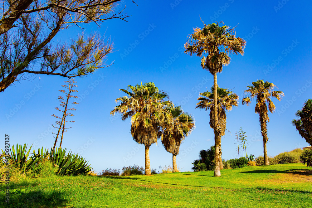 Obraz premium Picturesque park