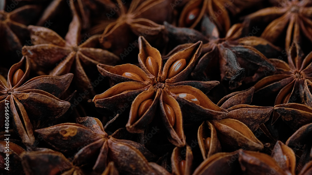 Dry Star anise spice close up