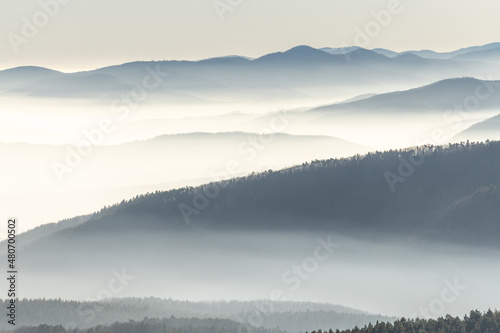 Принти на полотні Silhouettes of mountains in the sea of fog in winter.