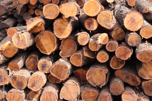 Full Frame Shot Of Logs In Forest