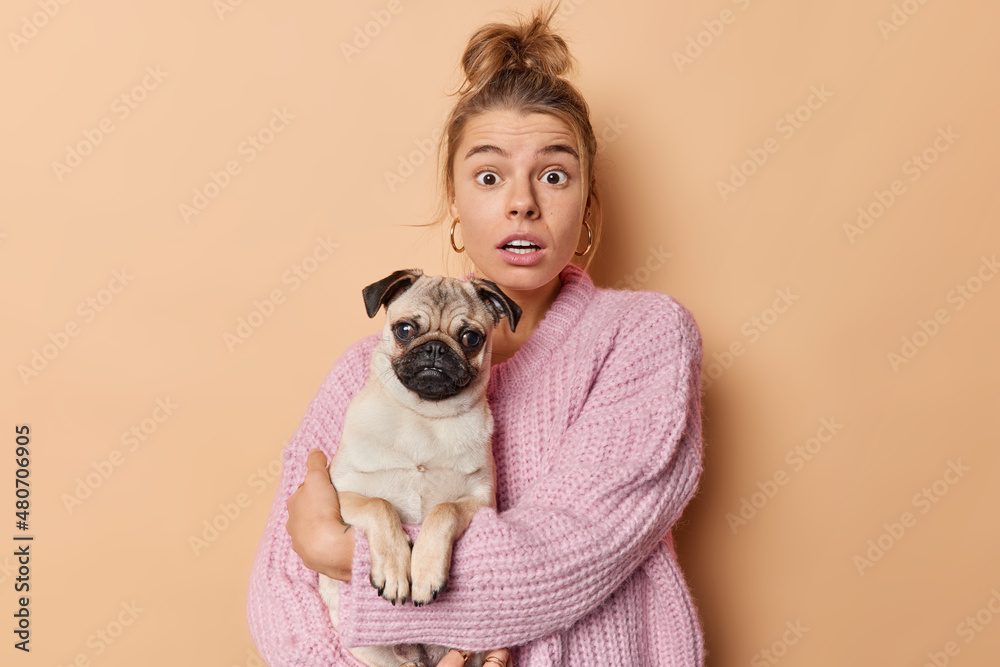 Indoor shot of scared European woman with combed hair holds pug dog carries favorite puppy wears knitted sweater isolated over brown background loves pet very much. Domestic animals concept. Indoor shot of scared European woman with combed hair holds pug dog carries favorite puppy wears knitted sweater isolated over brown background loves pet very much. Domestic animals concept.