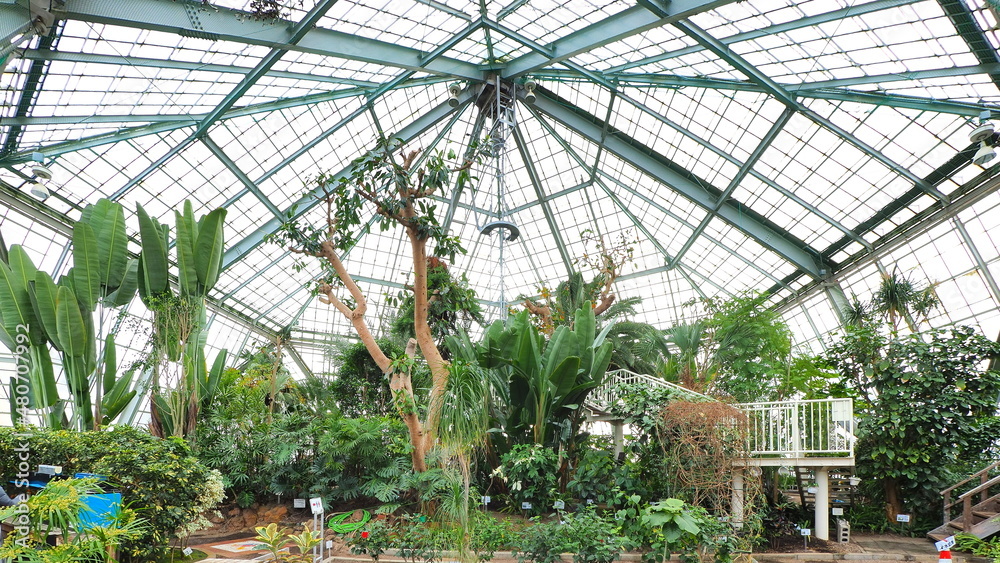 函館市熱帯植物園7 Stock Photo Adobe Stock 函館市熱帯植物園7 Stock Photo Adobe Stock