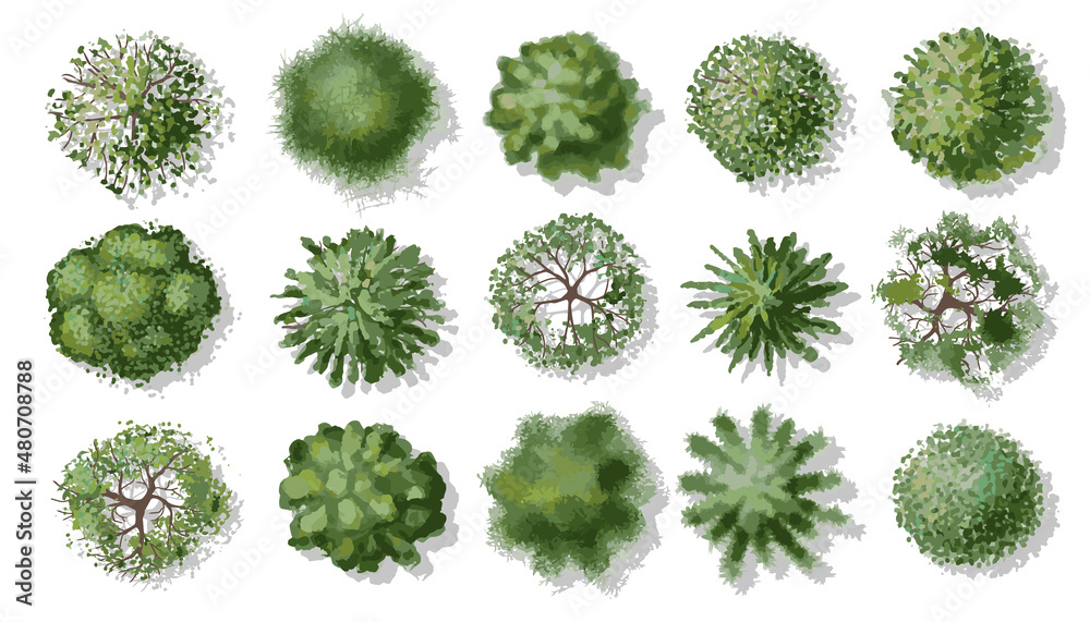 Vector set. Trees top view. Hand drawn illustration for landscape design, plan, maps. 