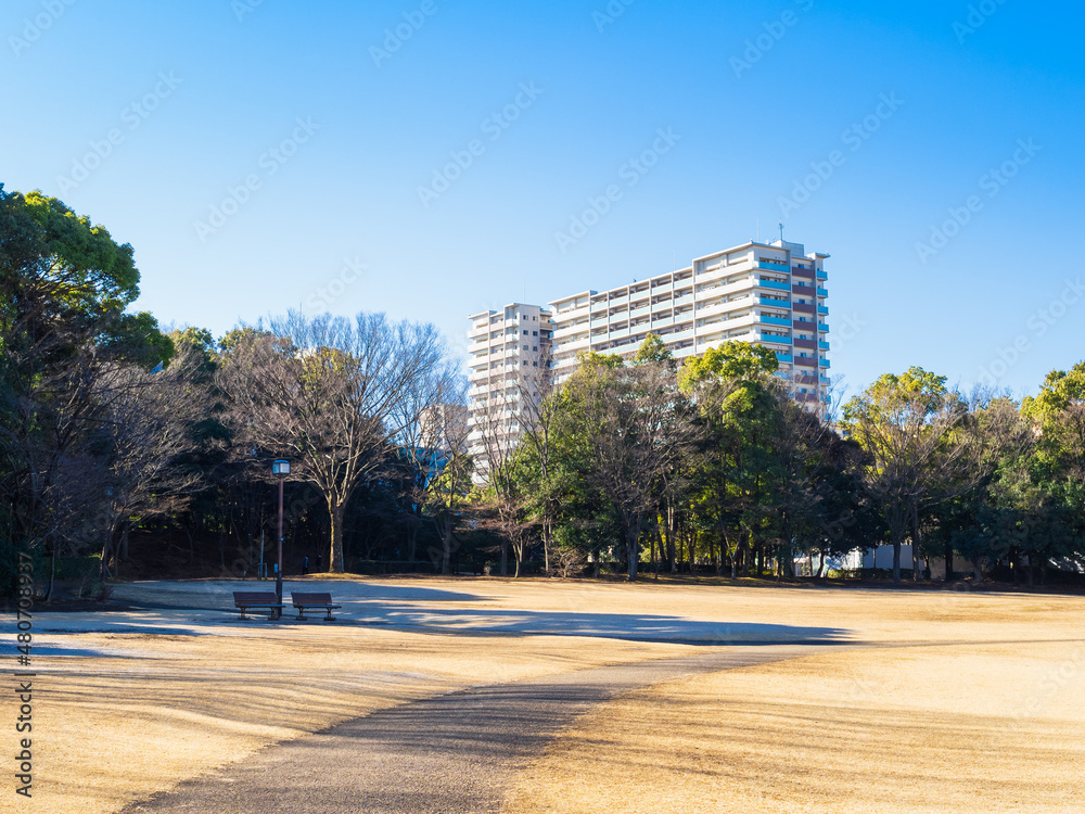 Obraz premium 郊外の住宅地 冬晴れの公園