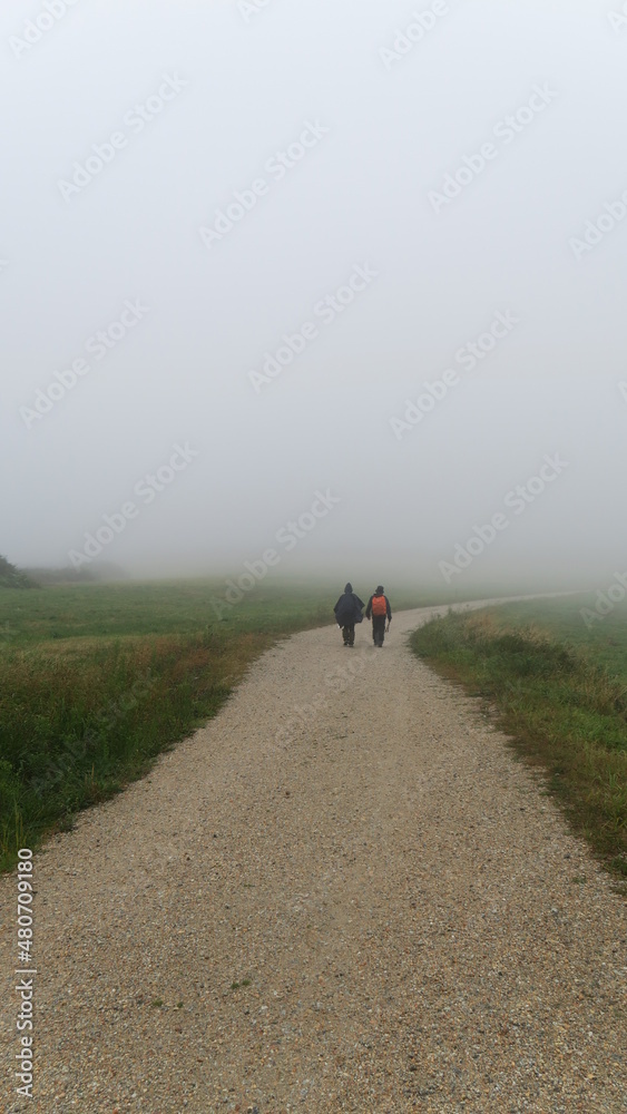 Hiking and walking on a foggy and rainy day in north spain by the way of saint james 