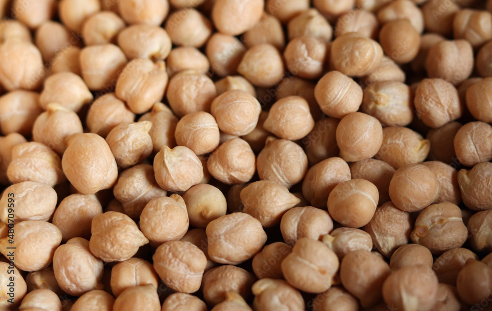 Dry chickpea background, top view. Chickpea seeds background, close-up. Chickpea close-up, top view. Dry chickpea beans, background. Dry chickpea background, top view. Chickpea seeds background, close-up. Chickpea close-up, top view. Dry chickpea beans, background.