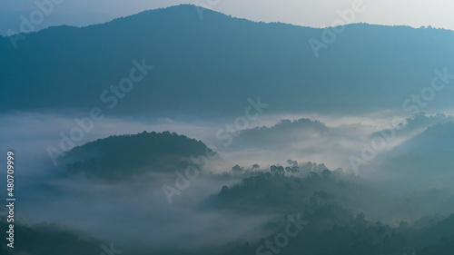 Beautiful landscape of mountain range and forest-covered by low clouds with visible silhouettes over the hill blue fog. © pomphotothailand